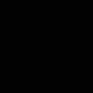 Meet your Posher, Eden